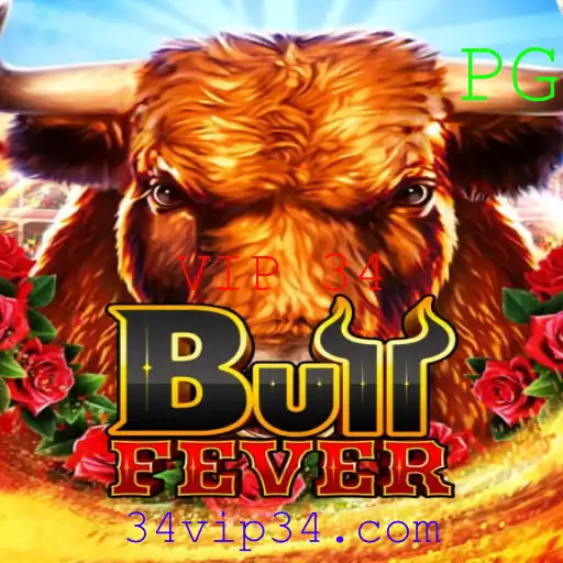 BullFever: Uma Imersão no Mundo da Competição Através do VIP 34